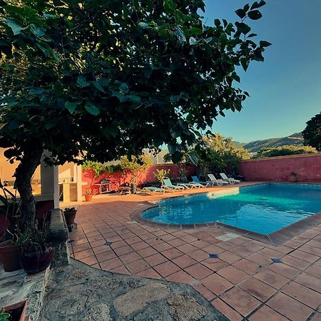 Residence Antonia Appartements Avec Piscine Commune - Centre Ville Calvi Calvi  Ngoại thất bức ảnh