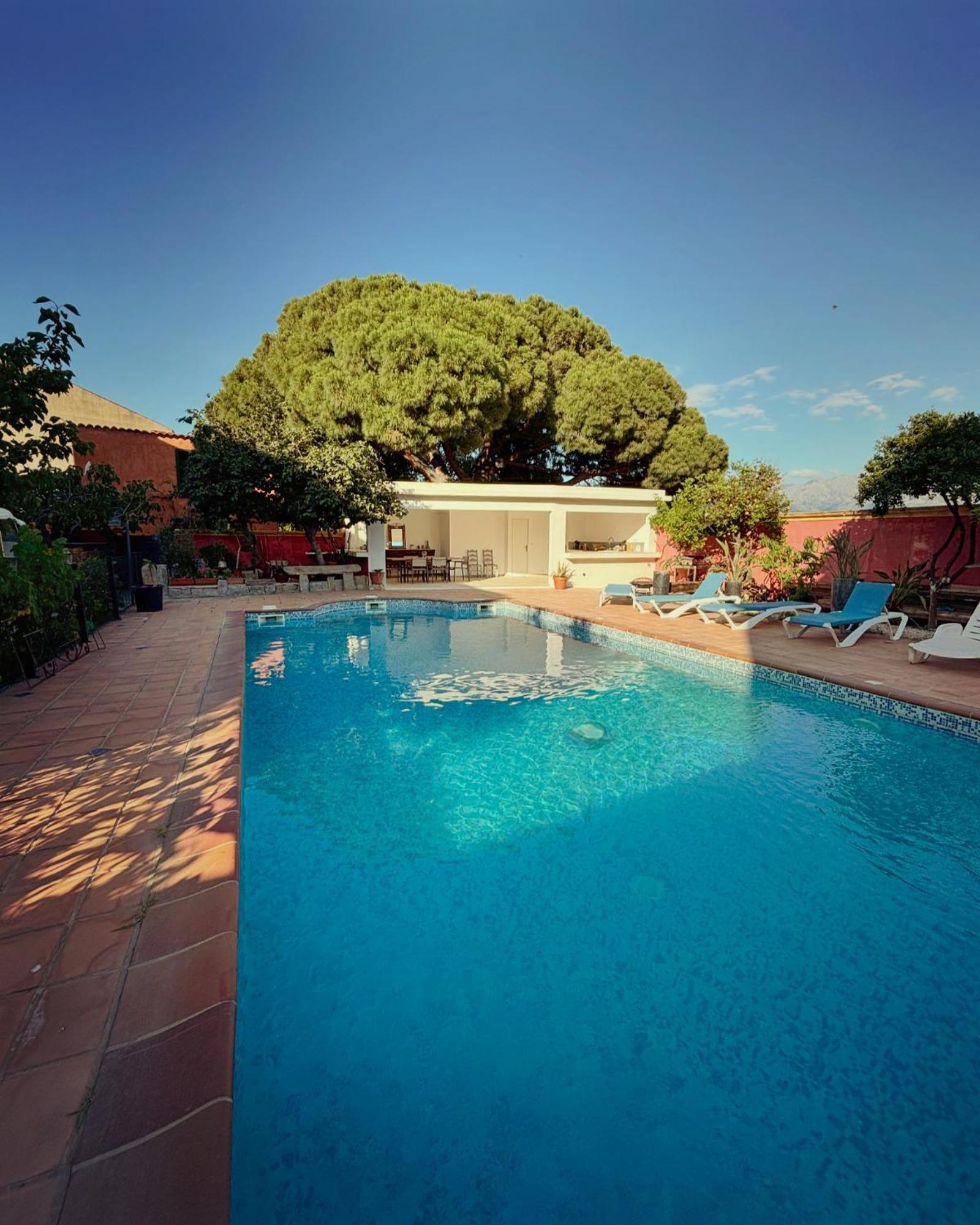 Residence Antonia Appartements Avec Piscine Commune - Centre Ville Calvi Calvi  Ngoại thất bức ảnh