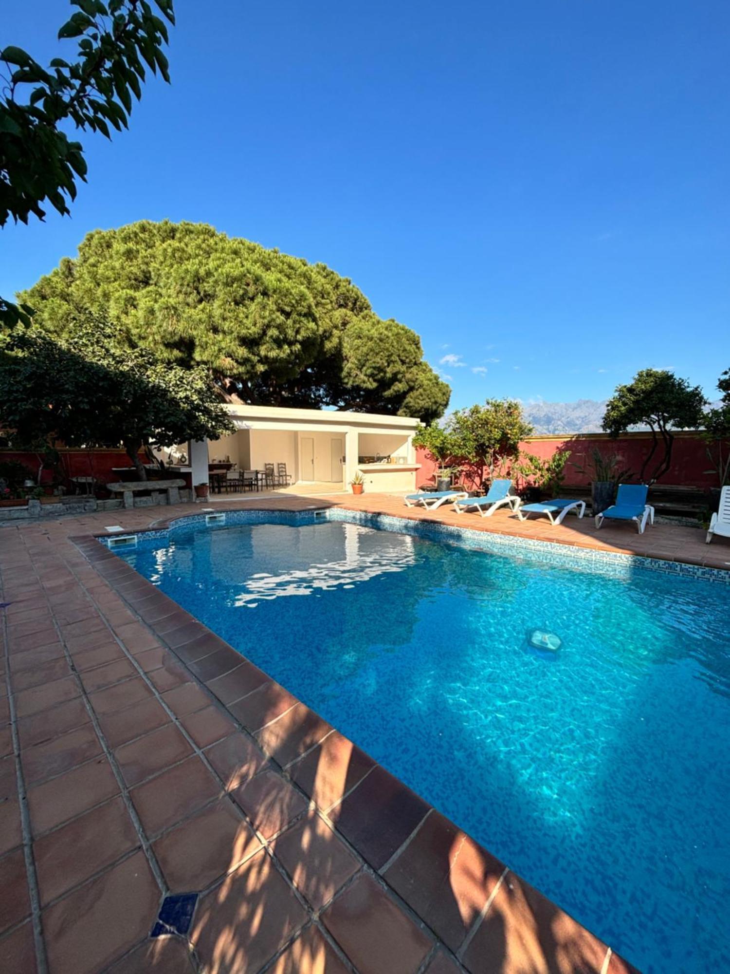 Residence Antonia Appartements Avec Piscine Commune - Centre Ville Calvi Calvi  Ngoại thất bức ảnh
